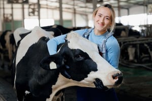 netsuite for veterinary 