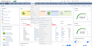 NetSuite Financial Management