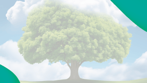 Greentree to Cloud ERP