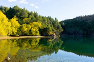 Natural landscape of New Zealand alps and lake